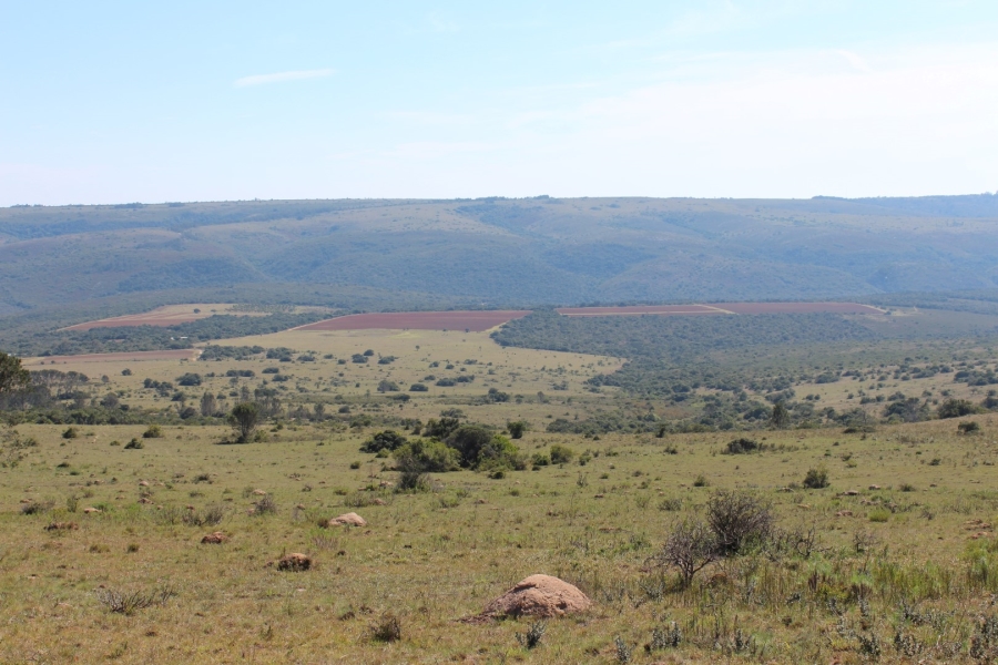 4 Bedroom Property for Sale in Bathurst Rural Eastern Cape